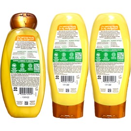 Garnier Whole Blends Honey Treasures Repairing (1)Shampoo &(2)Conditione