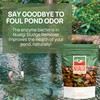 Nualgi Sludge Remover Tablets for Ponds 8.8 oz, Natural Pond