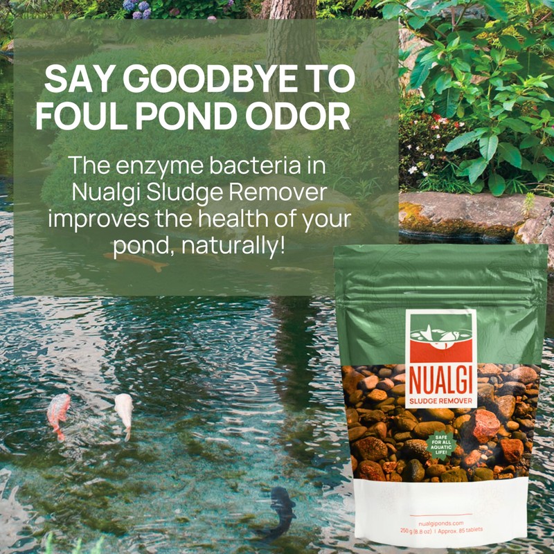 Nualgi Sludge Remover Tablets for Ponds 8.8 oz, Natural Pond