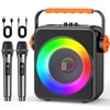 Karaoke Machine with 2 Wireless Microphones for Adults, Portable Bluetooth