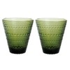 iittala Castehermi Tumbler, 10.1 fl oz (300 ml), Moss Green,