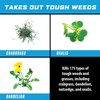 Ortho GroundClear Weed & Grass Killer Super Concentrate1, Refill Pouch,
