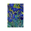 CafePress Van Gogh Irises 1889 Rectangle Magnet, 3"x2" Refrigerator Magnet