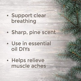 Plant Therapy Fir Needle Essential Oil 30 mL (1 oz) 100% Pure, Undiluted, Therapeutic Grade