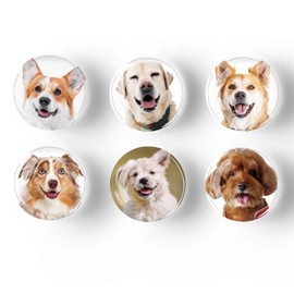 12Pcs Glass Refrigerator Magnets - Fridge Magnets Decoration for Classroom, Locker, Office Whiteboards, Cabinet, Dishwasher and Magnetic Surfaces (Cute Dog Smile)
