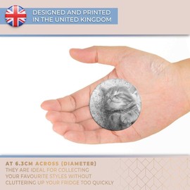 Destination Vinyl ltd Magnet for Refrigerator, Fridge BW - Cute Ginger Kitten Cat Pet for Office, Cabinet and Whiteboard, Magnetic Stickers, 43832