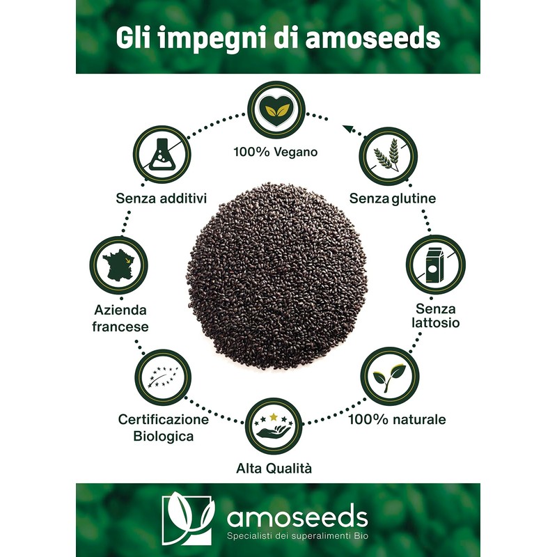 Semi di Basilico Bio 500G | Sazietà, Rinfrescanti, Ricchi di