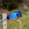 BOMBER SMOKE BOMB ANSI Z87+ Safety Sunglasses:_Clear