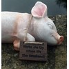 Paxton Pig Resin Garden Ornament"Wake Me Up When It Is