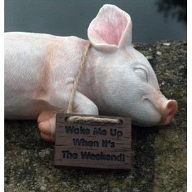 Paxton Pig Resin Garden Ornament"Wake Me Up When It Is The Weekend" 22cm long