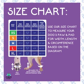 Calm Paws Recovery Boot and paw Protector (XSmall)