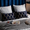 DEZENE Gold Velvet Throw Pillow Covers Navy: 2 Pack 12x20