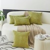 Home Brilliant Green Cushion Covers 50cm x 50cm, Super Soft