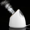 100ml Facial Steamer Nano Steam SPA Spray Moisturizer Face Sprayer