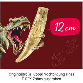 Kosmos 636173 T-Rex Tooth, Dino Tooth in Original Size for Digging, Complete Set with Hammer and Chisel, Experiment Box for Children from 7 Years and Dino Fans, Birthday Gift, Souvenir