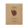 Skinfood Carrot Carotene Calming Water Pad 10g, Pack of 5, 1 Pack / 스킨푸드 캐롯 카로틴 카밍 워터패드 10g, 5매입, 1개