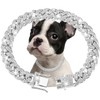 Silver Dog Chain Collar Diamond Cuban Link Dog Collar 13mm