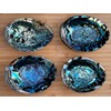 Abalone Shell, Seashell Incense Burner, Smudge Bowl for Holding Smudge