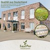 SaatPur Pimpinelle Seeds for Approx. 90 Plants Meadow Button Green