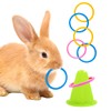 Rabbit Training Ring Toy, Rabbit Interactive Toy, Bunny Educational Toys