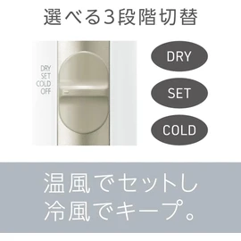 Panasonic Hair Dryer with Curler EH-KE2J-N / Ionity / Gold Tone