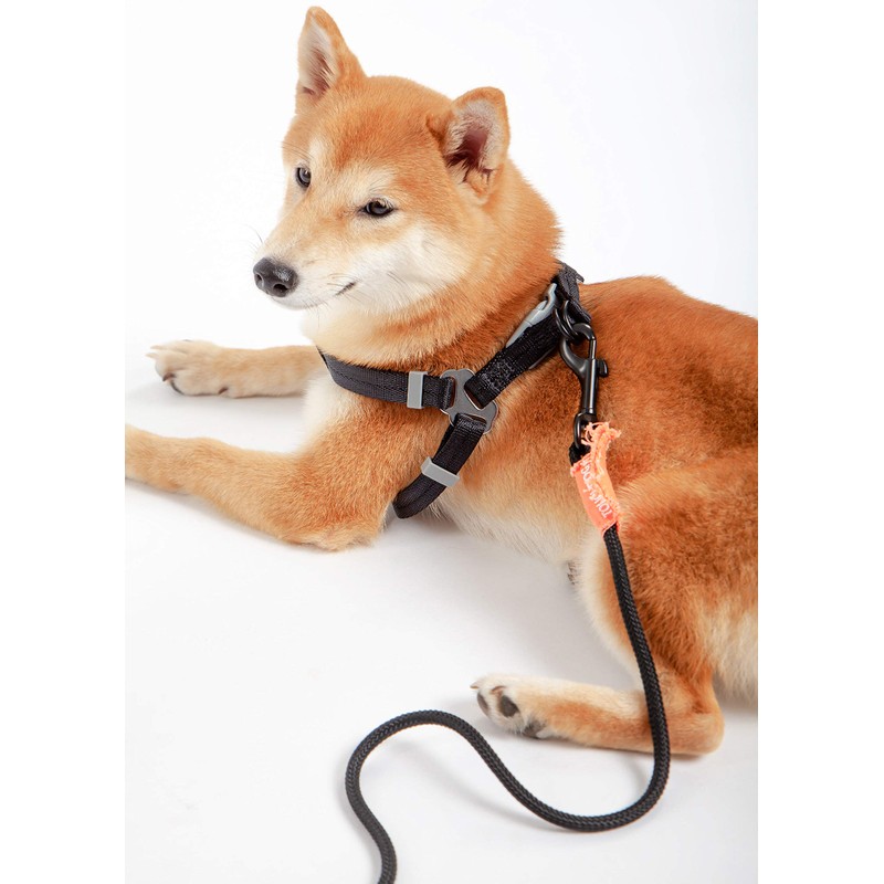 Touchdog ® 'Macaron' 2-in-1 Durable Nylon Dog Harness and Leash