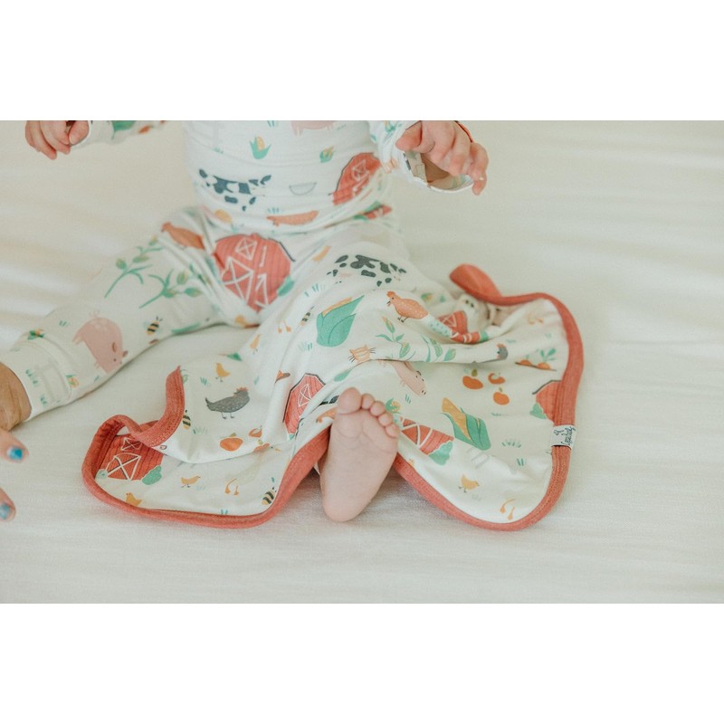 Copper Pearl Baby Security Blanket Set of 2 - Portable