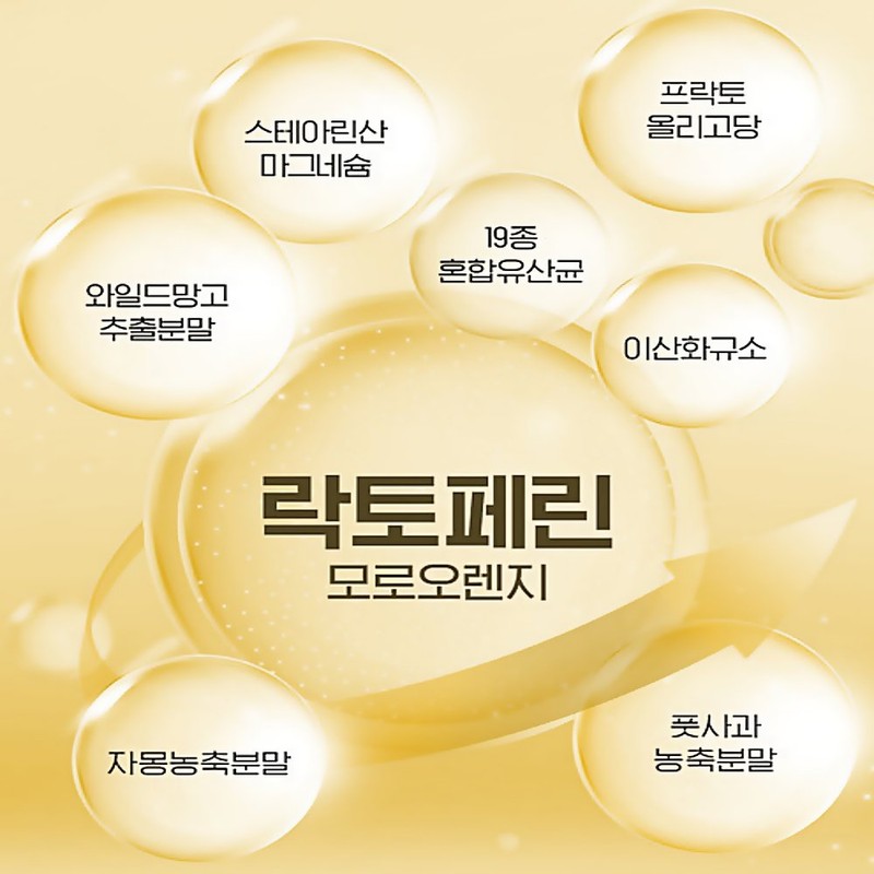 Lactoferrin Morosil Diet Protein Moro Orange 120 tablets / 락토페린