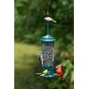 Brome Squirrel Buster Legacy Squirrel-proof Bird Feeder w/4 Metal Perches,