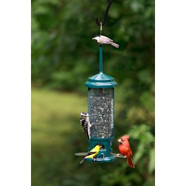 Brome Squirrel Buster Legacy Squirrel-proof Bird Feeder w/4 Metal Perches, 2.6-pound Seed Capacity