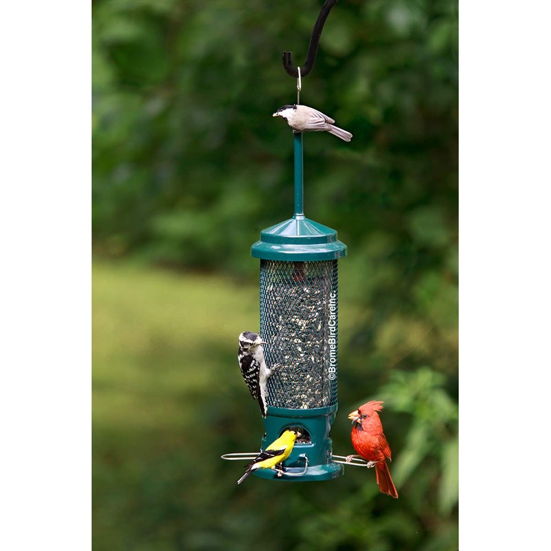Brome Squirrel Buster Legacy Squirrel-proof Bird Feeder w/4 Metal Perches,