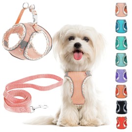 Small Dog Harness and Leash Set, No Pull Adjustable Reflective Breathable Mesh Step in Dog Harness Easy Walk Dog Harness for Extra Small/Small Medium Dog Cats Puppy (Pink, L)