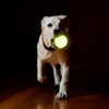 Fancy Pets Juguete Pelota Diamante Glow para Perro Brilla en