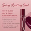 ROMAND Juicy Durable Tinte Sparkling Juicy (#17 PLUM COKE)