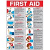First Aid Laminated Poster 24" X 36"