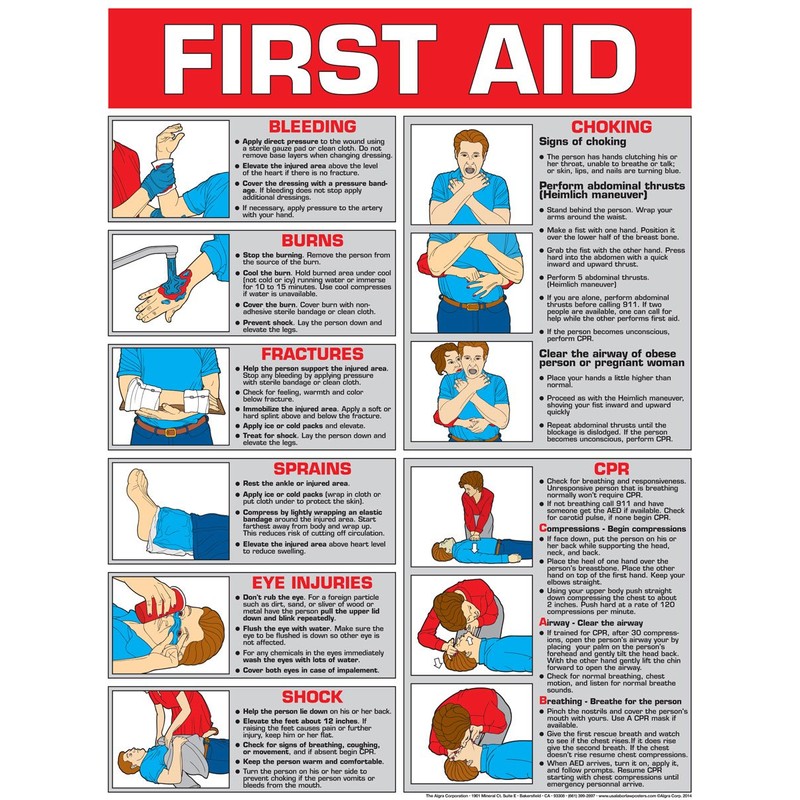 First Aid Laminated Poster 24" X 36"