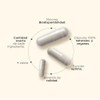 K2 + D3 – Suplemento Avanzado para la Salud Ósea