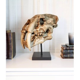 Ebros Gift Sabertooth Tiger Cat Fossil Skull Skeleton Replica Statue With Museum Pole Mount