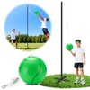 Backyard Tetherball Set with Ball & Rope, Adjustable Tetherball Set,