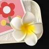 AWOCAN 10PCS Women Hawaiian Flower Hair Clips White Plumeria Flower