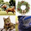 DZSEE Dog Bells & Cat Bells for Collars - Loud,