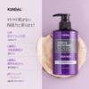 KUNDAL Protein Treatment #French Lavender 16.9 fl oz (500 ml)