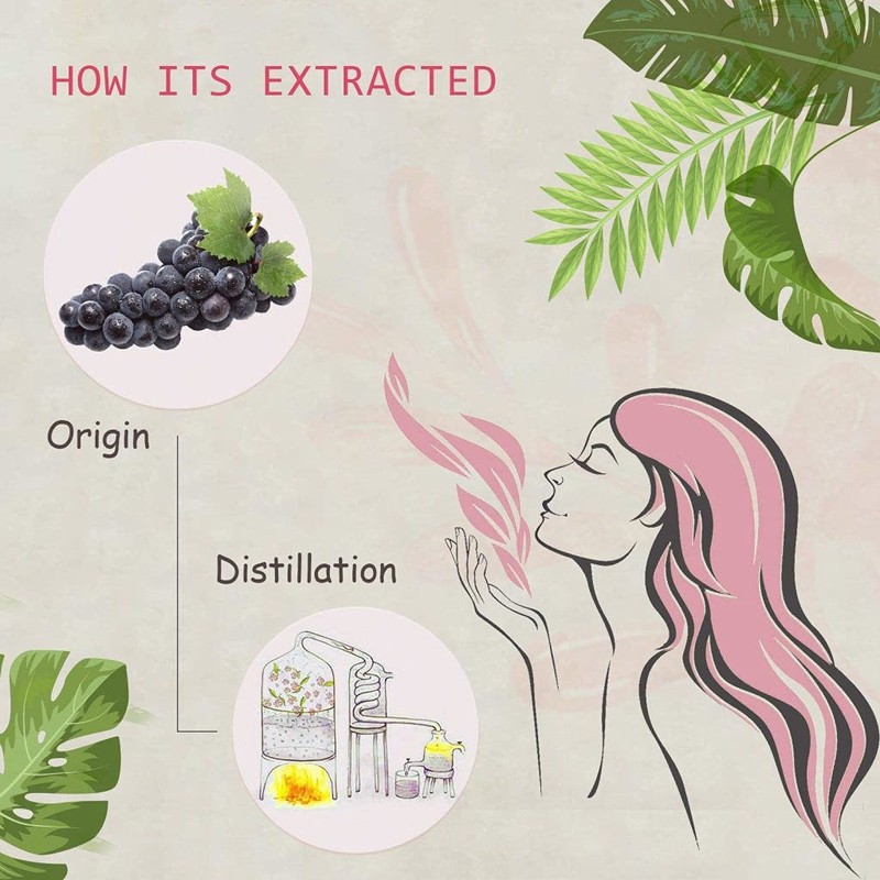 AOPING Grape Essential Oil - 100% Pure Organic Natural Plant