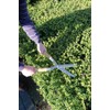 Esschert Design Stainless Steel Hedge Shears