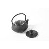 HAWOK Cast Iron Teapot with Stainless Steel Infuser (600ml/20oz)
