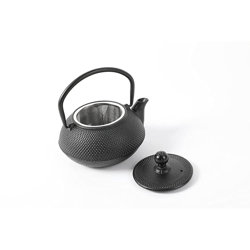 HAWOK Cast Iron Teapot with Stainless Steel Infuser (600ml/20oz)