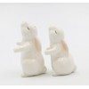Fine Porcelain Spring Easter Hugging Bunny Rabbit Salt & Pepper