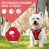 PAWDAY No-Pull Dog Harness with Dog Leash Breathable Mesh Adjustable