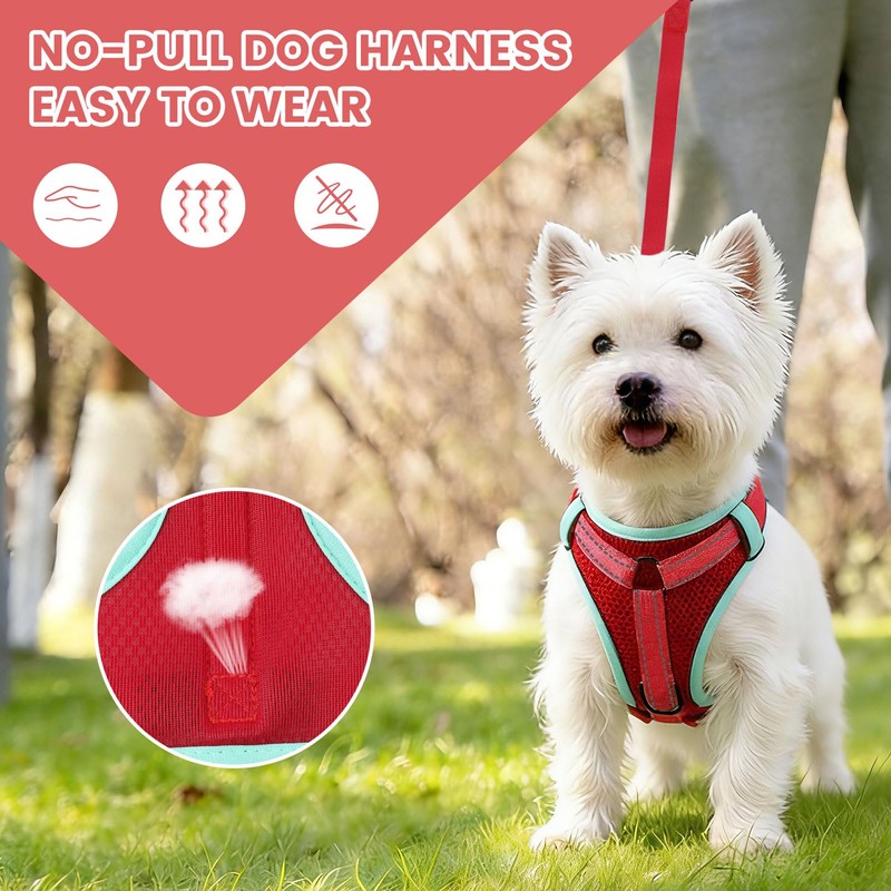 PAWDAY No-Pull Dog Harness with Dog Leash Breathable Mesh Adjustable