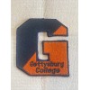 Gettysburg College bullets￼ Vintage Embroidered Iron On Patch 2.5” X